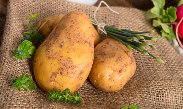 Neue Kartoffeln — Stockfoto