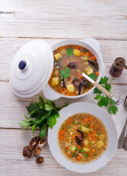 Zuppa di orzo (Krupnik ) — Foto Stock