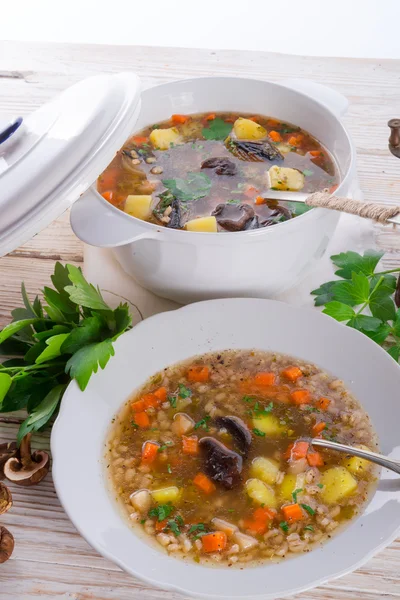 Zuppa di orzo (Krupnik ) — Foto Stock