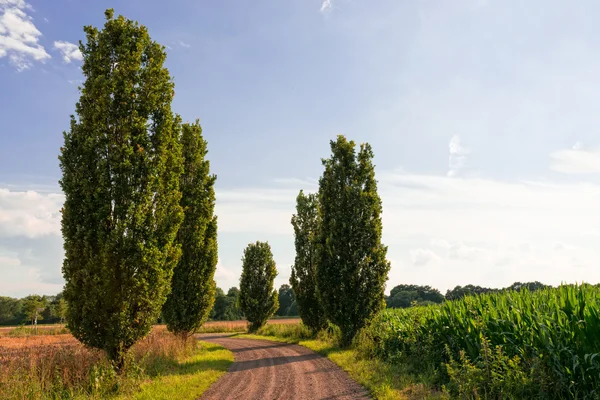 Percorsi a piedi in Germania — Foto Stock