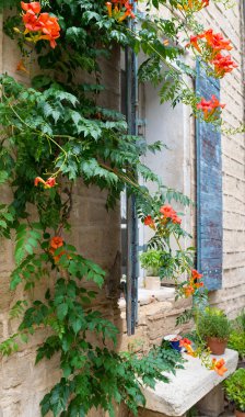 provence penceresinde.