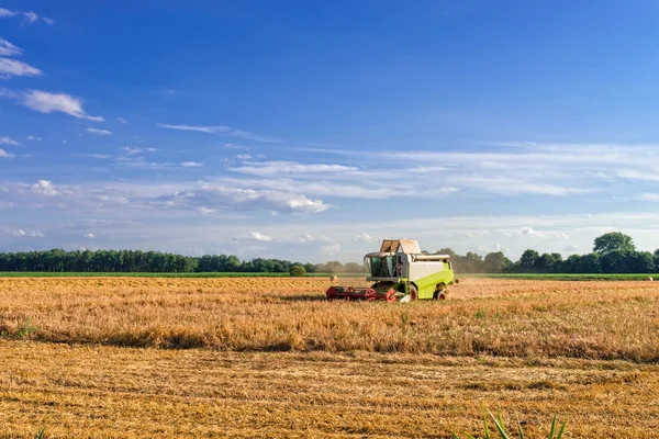 Tractors harvesting — Stock Photo, Image