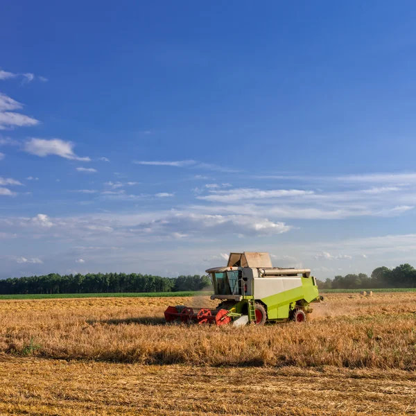 Tractors harvesting Royalty Free Stock Images