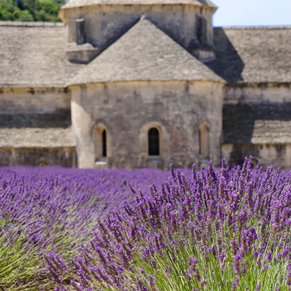 Monasteries of the Cistercian — Stock Photo, Image