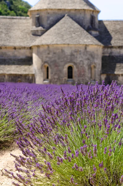 Monasteries of the Cistercian — Stock Photo, Image