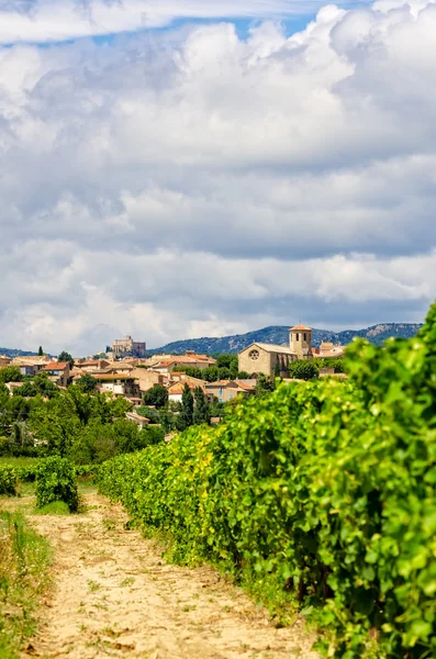 Vigneto in Provenza — Foto Stock