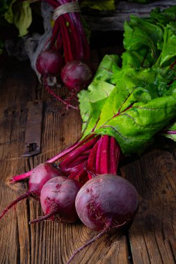 Botwina, Kırsal Genç Pancar Kökü