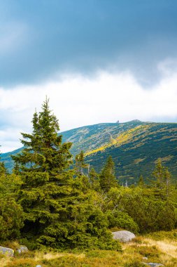 Giant Mountains (Karkonosze) autumn landscap clipart