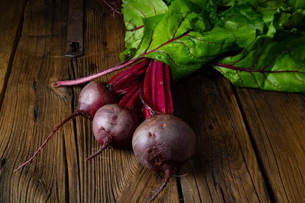 Botwina Rustic Young Beetroot — Stock Photo, Image