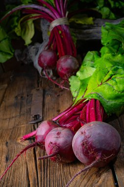 Botwina, Kırsal Genç Pancar Kökü