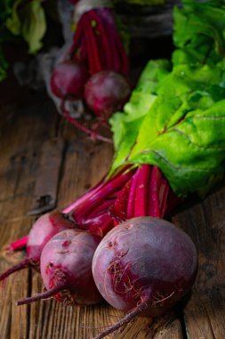 Botwina, Kırsal Genç Pancar Kökü