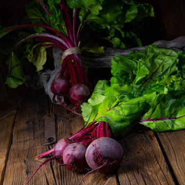 Botwina, Kırsal Genç Pancar Kökü