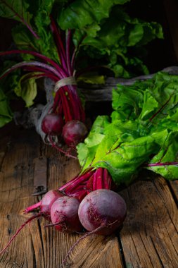 Botwina, Kırsal Genç Pancar Kökü