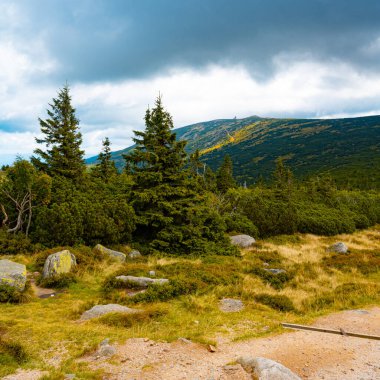 Dev Dağlar (Karkonosze) sonbahar manzarası
