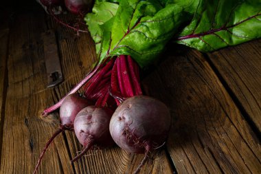 Botwina, Kırsal Genç Pancar Kökü