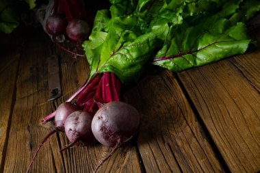 Botwina, genç pancar kökü, yakın çekim.