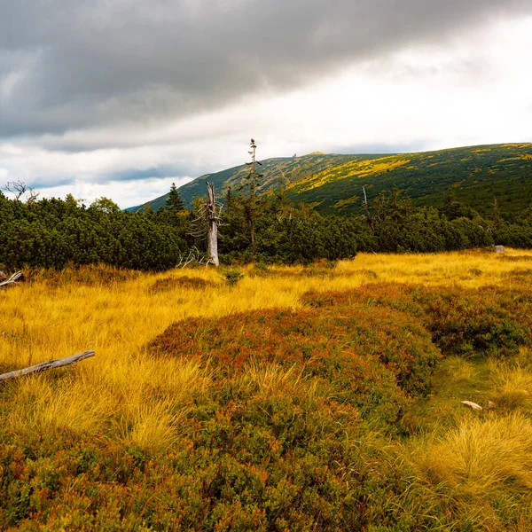 Giant Mountains Karkonosze Autumn Landscape Close View — Stock Photo, Image