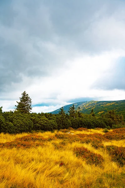 巨人山脈 カルコノス 秋の風景 クローズアップビュー — ストック写真