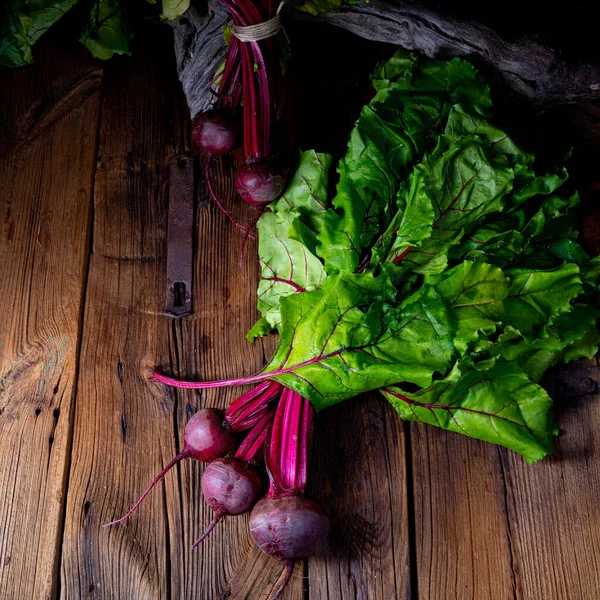 Botwina Rustic Young Beetroot — Stock Photo, Image