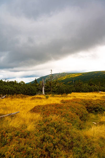 Riesengebirge Riesengebirge Herbstlandschaft — Stockfoto