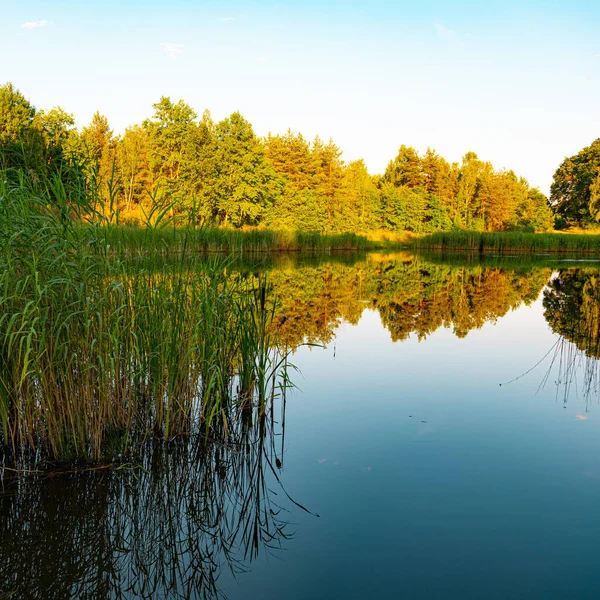 Serata Tranquilla Lago — Foto Stock