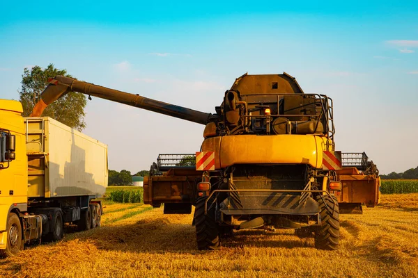 Harvest Lower Saxony Underway — Stock fotografie