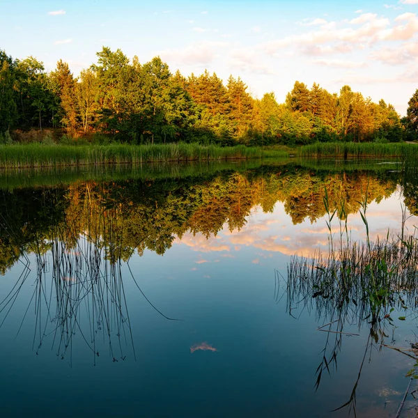 Quiet Evening Lake — Stock Photo, Image