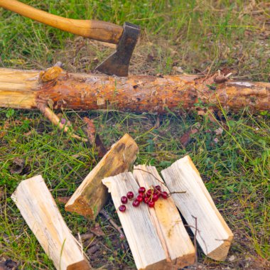 Kamp alanında sakin bir akşam.