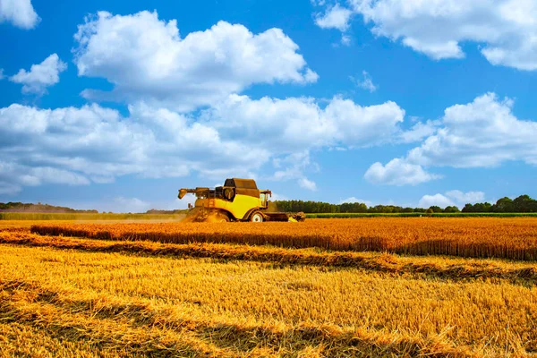 Harvest Lower Saxony Underwa — 스톡 사진