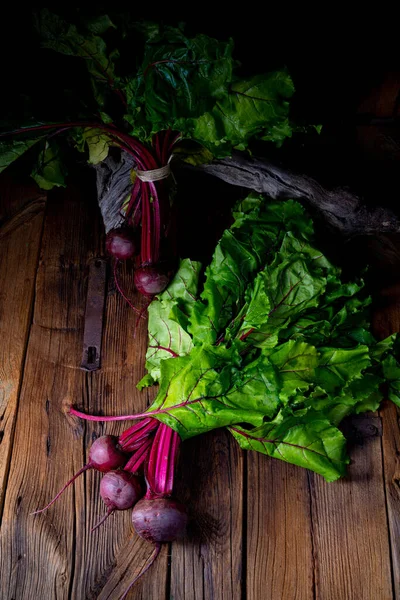 Ботвина Rustic Young Beetroot — стоковое фото