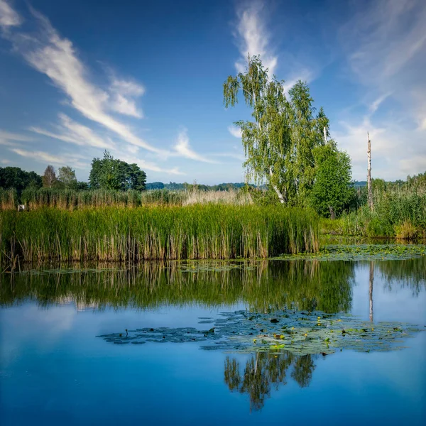 Beautiful Autumn Landscapes Subcarpathia — Foto Stock