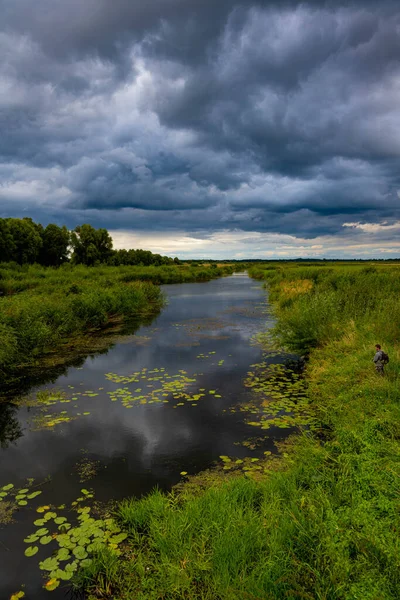 Summer Warta River Its Backwaters — Foto Stock