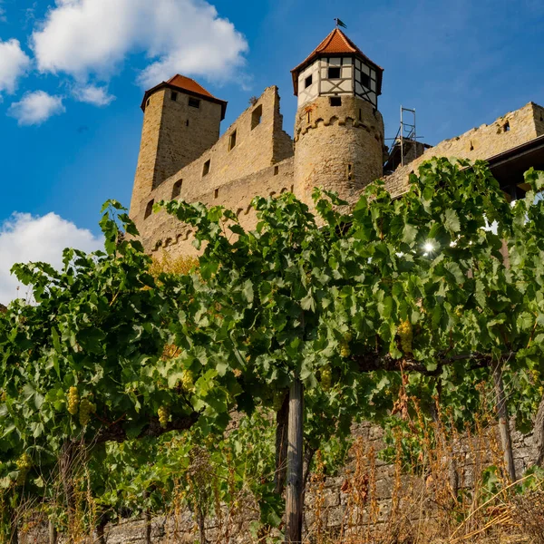 Most Beautiful Vineyards Germany — 图库照片