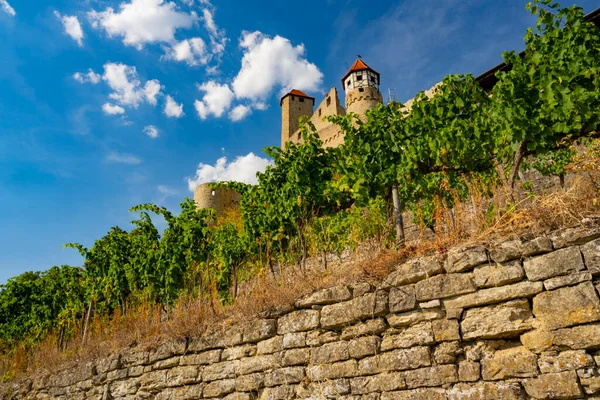 Most Beautiful Vineyards Germany — Stock Photo, Image