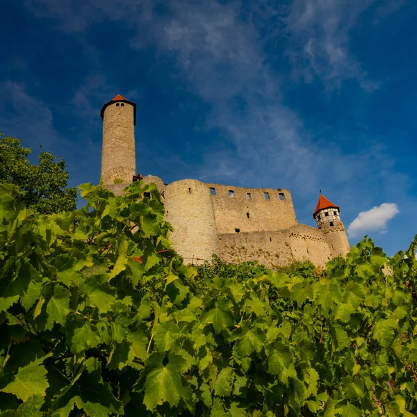Most Beautiful Vineyards Germany — Stok fotoğraf