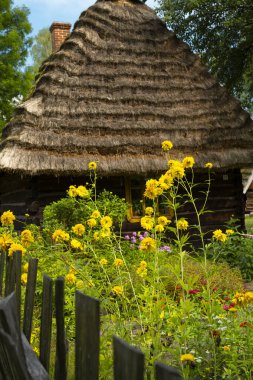 Beautiful autumn landscapes in Subcarpathia.