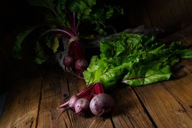 Botwina, Kırsal Genç Pancar Kökü