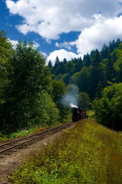 Ormandaki eski tren.
