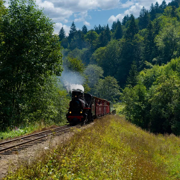 森林里的旧铁路列车 — 图库照片