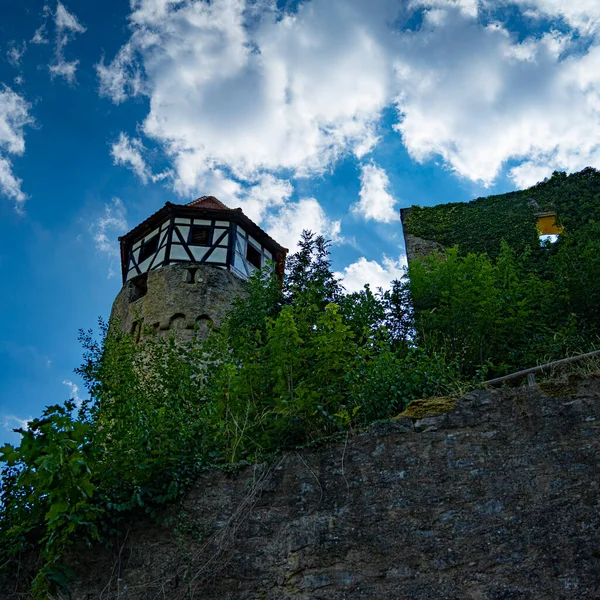 Winery Burg Hornberg Neckar — Foto de Stock