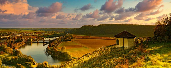 Experiencia Del Vino Valle Del Neckar Inferior — Foto de Stock