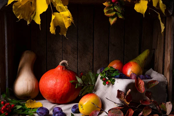Vários Frutos Uma Caixa Madeira Com Folhas Outono — Fotografia de Stock