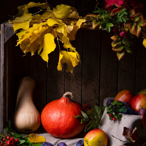 Sonbahar Yapraklı Ahşap Bir Kutuda Çeşitli Meyveler — Stok fotoğraf