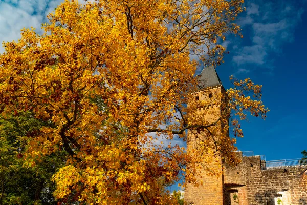 Hirschhorn Castillo Castillo Ruinas Neckar — Foto de Stock
