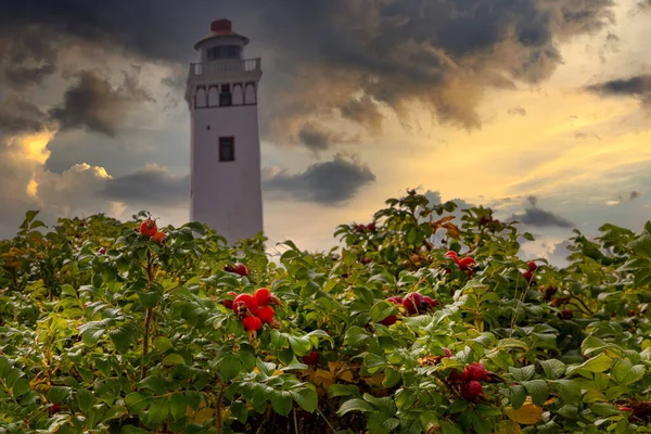 Strib Fyr Farol Dinamarca — Fotografia de Stock