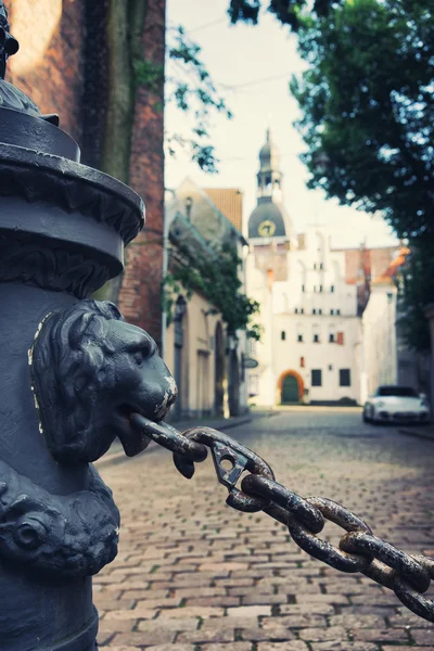 Lions in the street of Old Riga — Stock Photo, Image