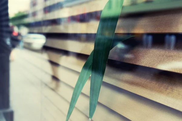 Reflection of city in the window with shutters with plants — Stock Photo, Image