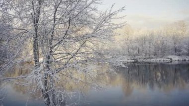 Kışın ilk günü nehirde karla