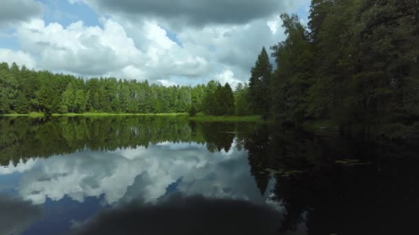 Lago del bosque con reflejo de bosque y nubes — Vídeos de Stock