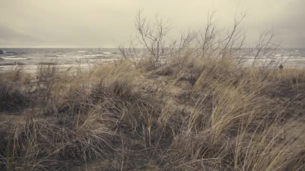 Baltské zimní bouře na pozadí písečných dun — Stock video